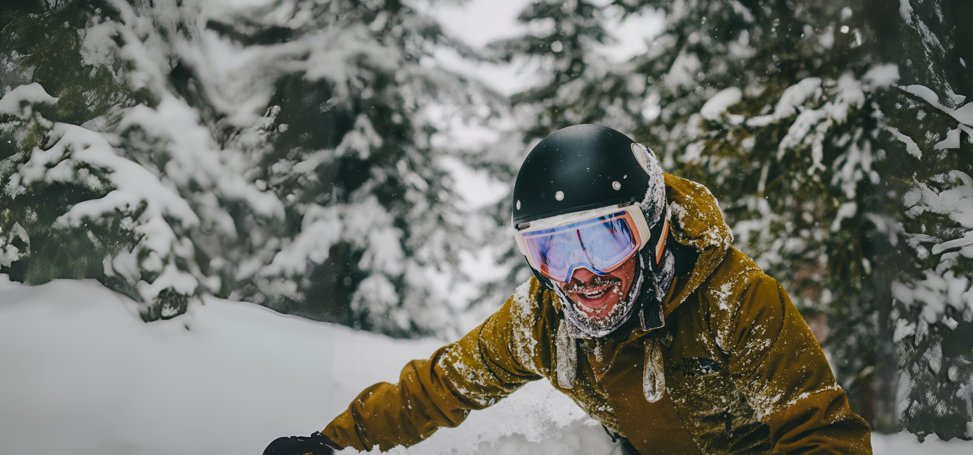 Person skiing in a snowy forest with trees covered in snow.
